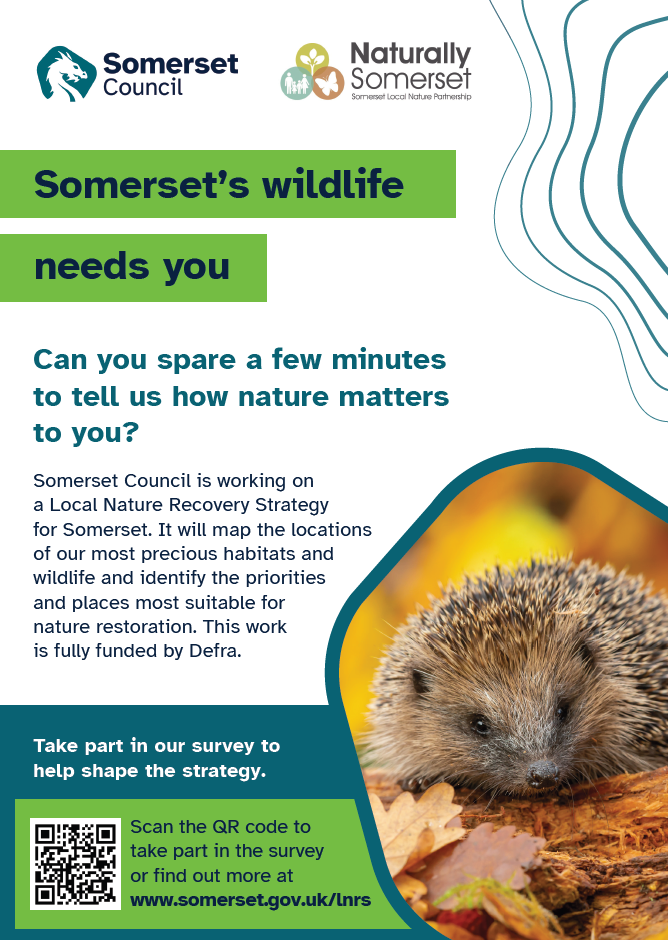 Somerset Wildlife Needs YOU!